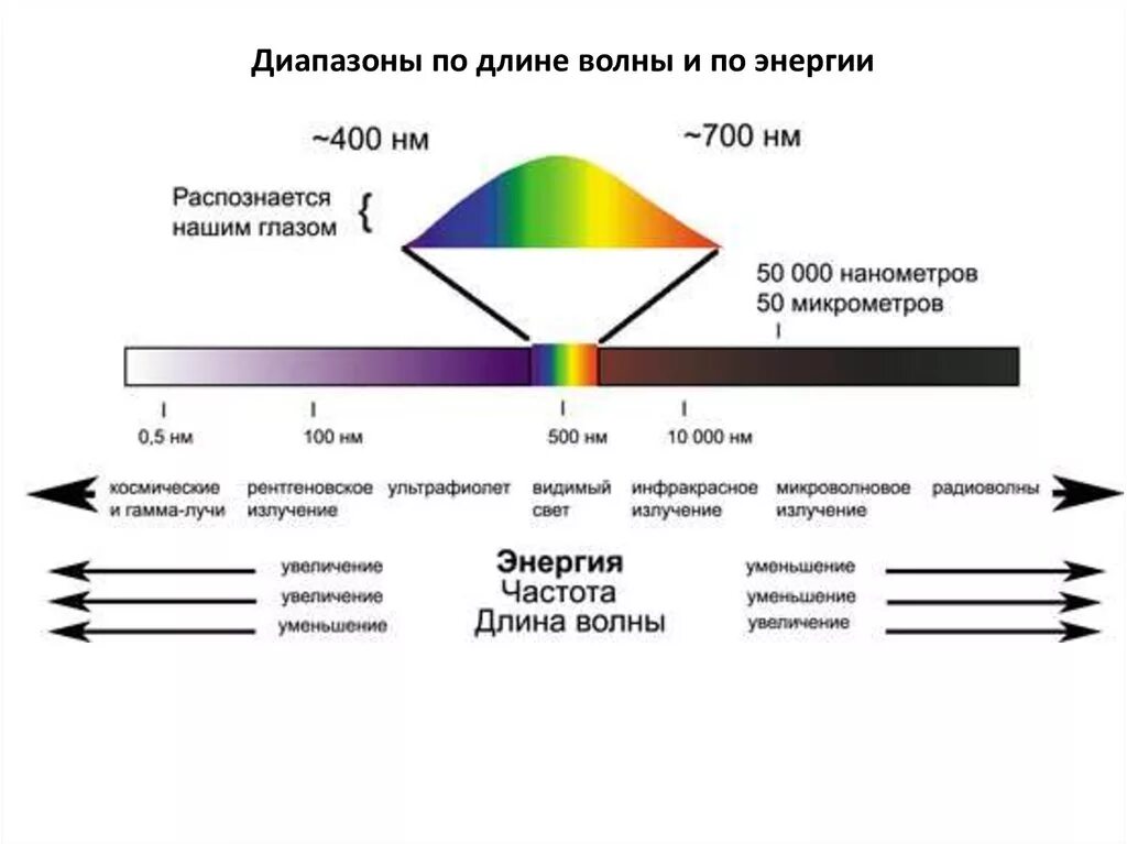 Диапазон видимого света длины волн света. Диапазон частот видимого излучения. Видимое излучение диапазон длин волн. Видимое излучение длина волны. Частота воспринимаемая глазом