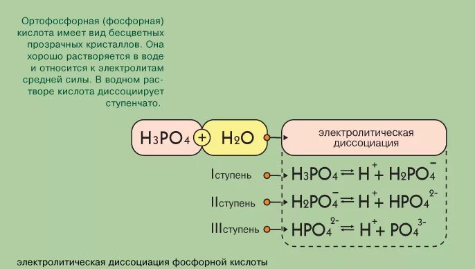 Ступенчатая диссоциация кислот. Диссоциация фосфорной кислоты 3 стадии. Ступенчатое диссоциация фосфорноймкислоты. Дисация фосфорной кислоты. Уравнение диссоциации фосфорной кислоты.