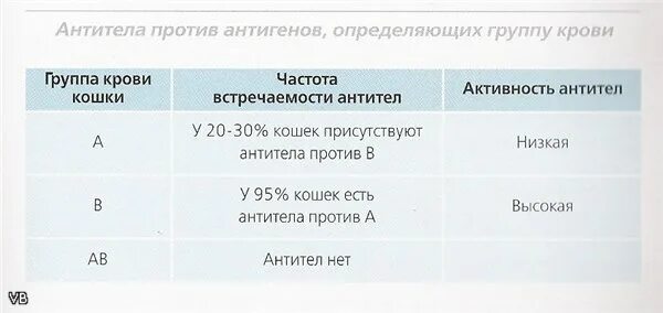 Сколько групп на ставку. Группа крови у кошек по породам таблица. Группы крови собак таблица. Группы крови кошек совместимость. Сколько групп крови у кошек.