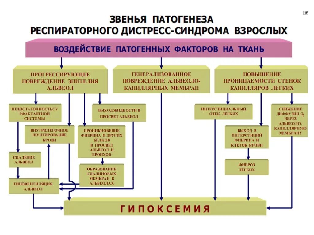 Респираторный дистресс синдром взрослых. Основные причины острого респираторного дистресс-синдрома. Респираторный дистресс синдром патофизиология. Респираторный дистресс-синдром взрослых причины. Стадии развития острого респираторного дистресс-синдрома.