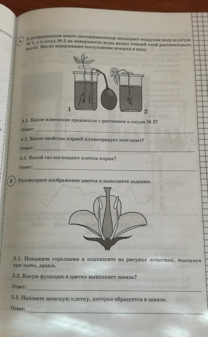 ВПР биология. ВПР по биологии 6 класс цветок. ВПР биология 6 класс тетрадь. ВПР биология 6 класс. Разбор впр 6 класс биология