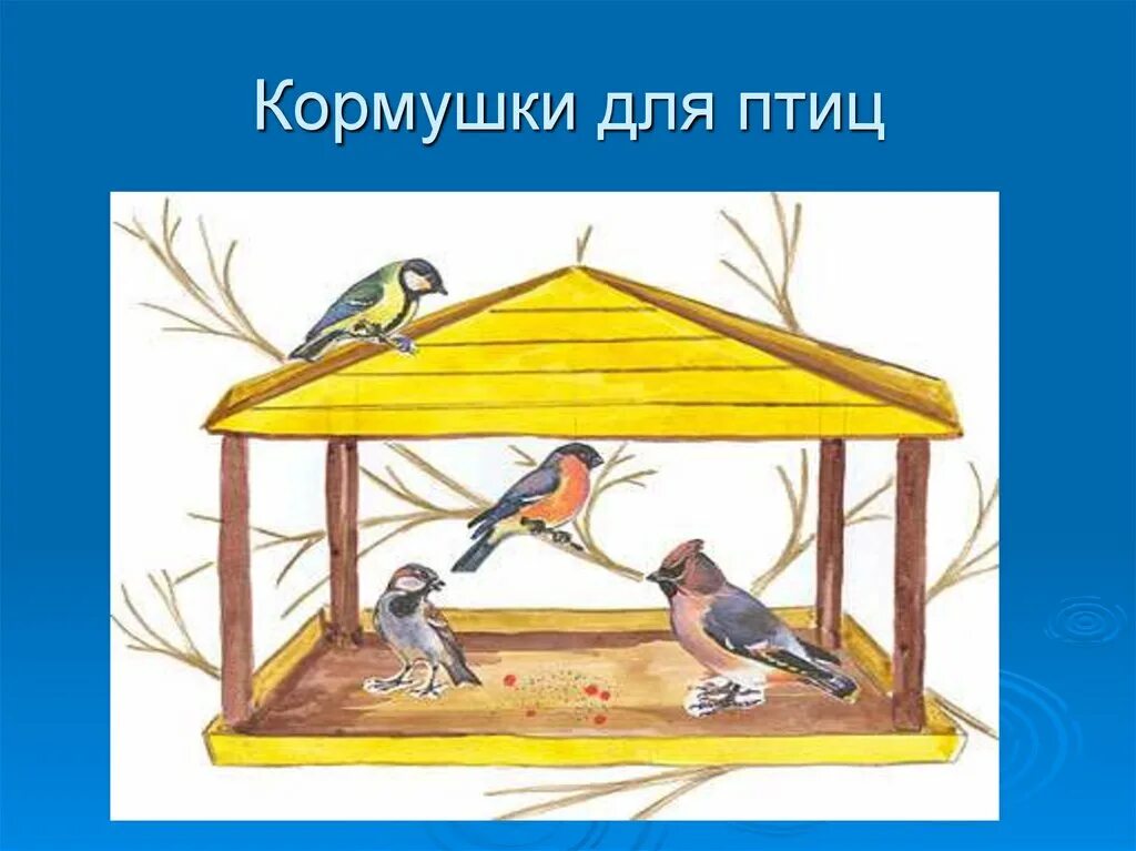 Что будет без птиц. Птичья столовая. Кормушка для птиц. Столовая для зимующих птиц. Зимующие птицы на кормушке.