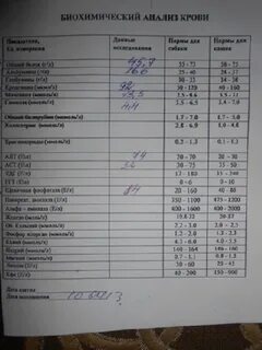 Какие анализы сдать для кардиолога