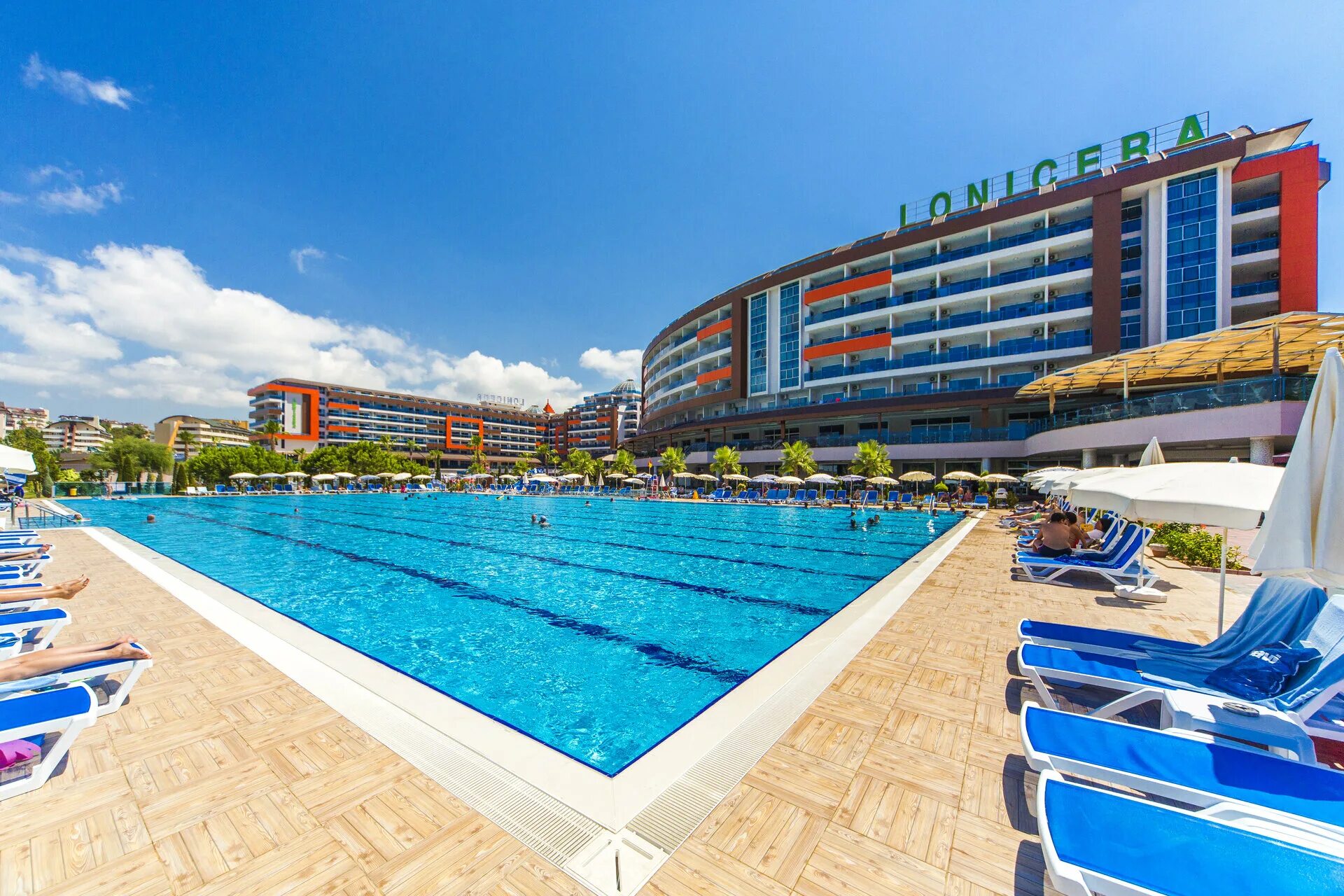 Lonicera 5 турция