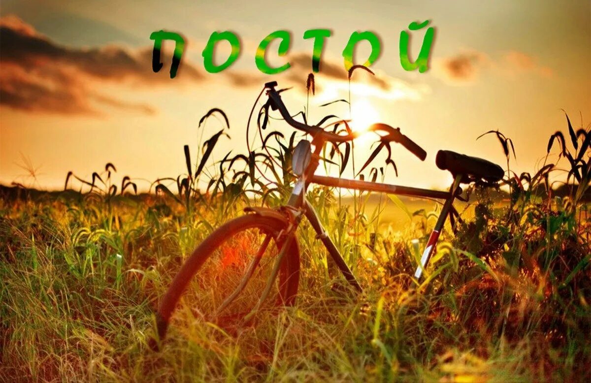 Прошлые дни