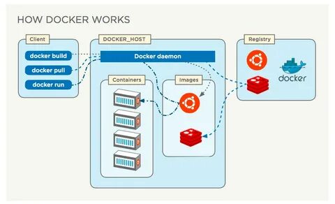 Package docker has no installation candidate