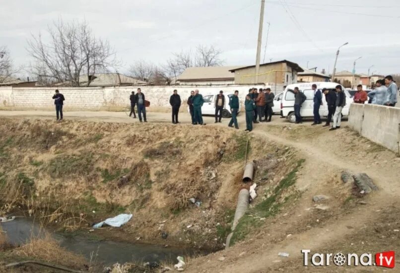 Kopkari yakkabog. Yakkabog' chubron. Кашкадарья яккабог. Узбекистан кашкадарё яккабог. Яккабог ишкент.