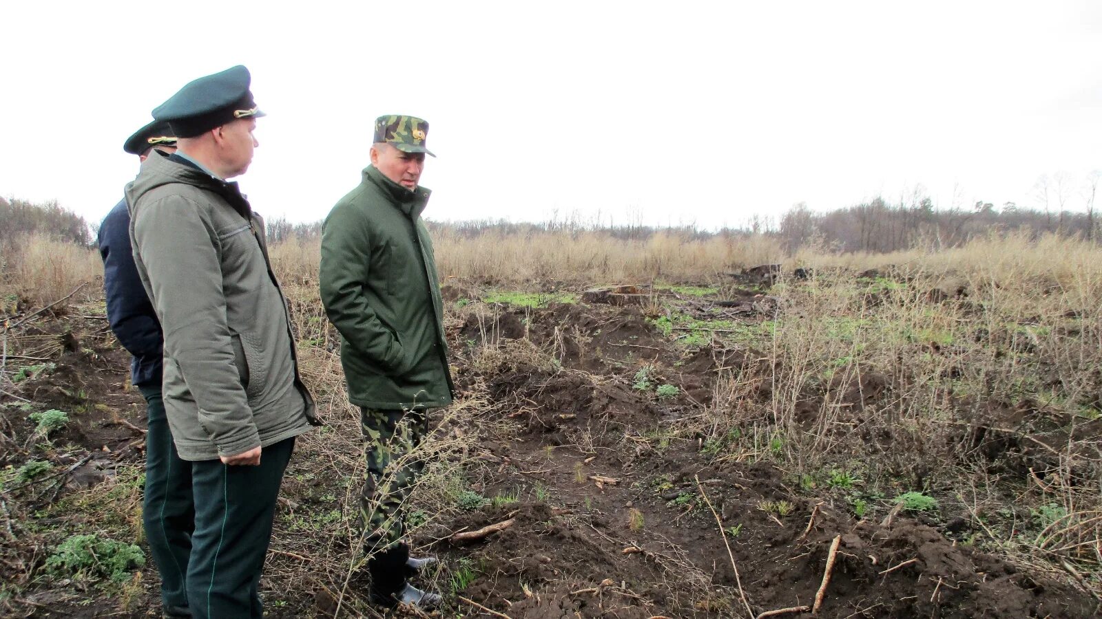 Экологические проблемы республики татарстан. Казань лесхоз. Приволжск лесхоз. Приволжское лесничество. Гку нурлатское лесничество.