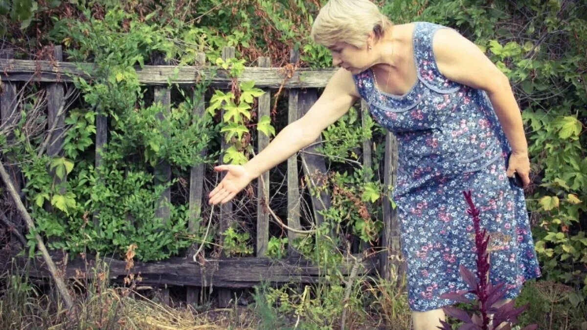 Соседка красивая женщина. Соседка в огороде. Женщина на грядке. Женщины на даче летом. Женщина на даче в огороде.