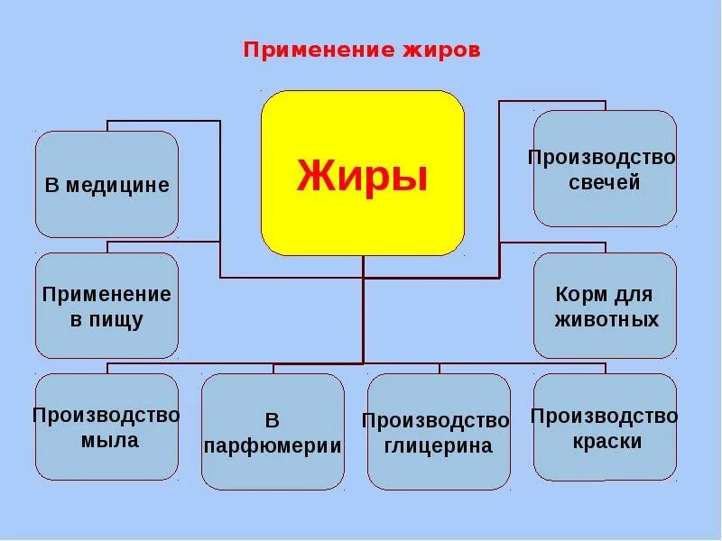 Сообщение про жиры. Сообщение про жиры