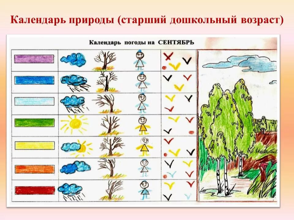 Наблюдение за погодой в средней группе. Календарь наблюдений за сезонными явлениями природы в детском саду. Календарь природы в старшей группе. Календарь наблюдений в природе старшая группа. Календарь наблюдений за природой в детском саду.