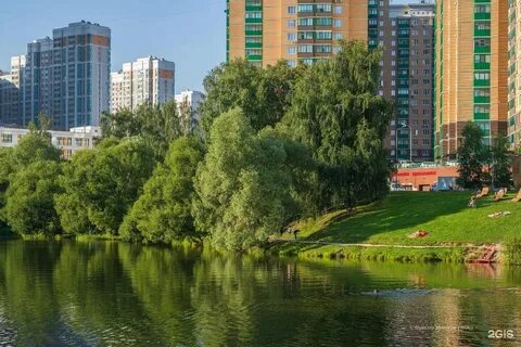 Снять комнату в бирюлево москва