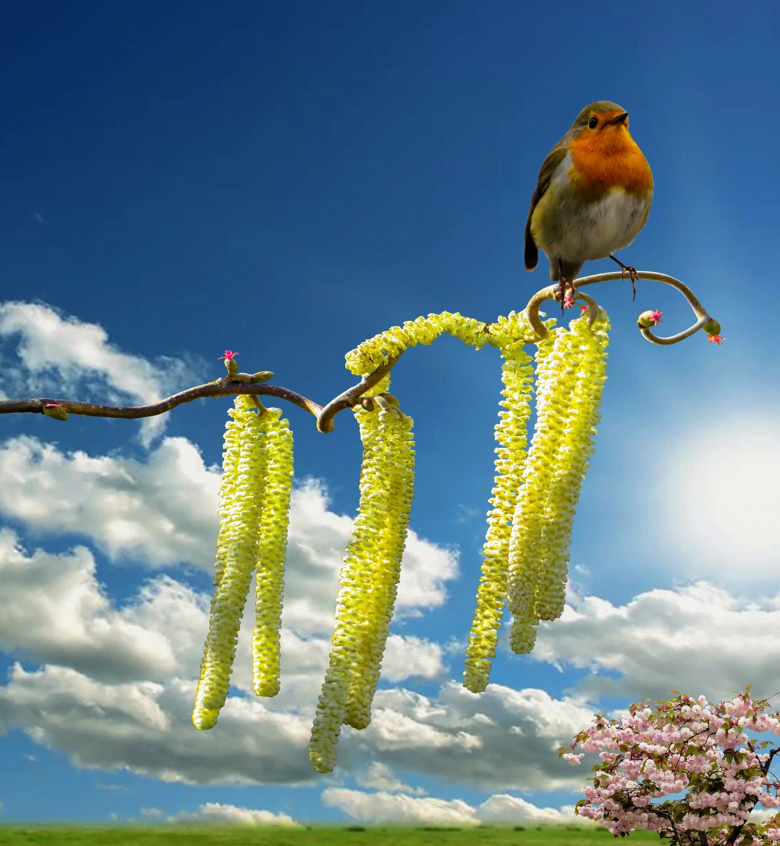 Птицы весной. Весенние птички. Природа птицы.