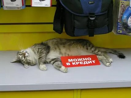 Держи не выпендривайся картинка