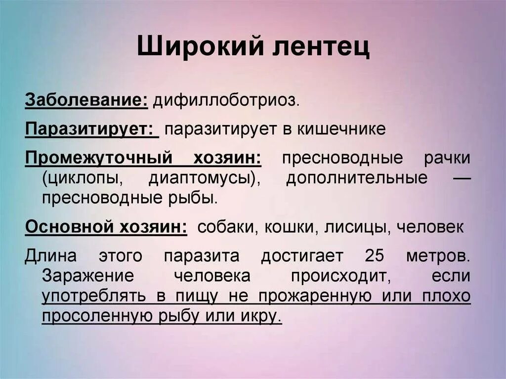 Широкий лентец промежуточный хозяин. Заболевание широкого лентеца. Широкий лентец заболевание. Широкий лентец вызывает заболевание.