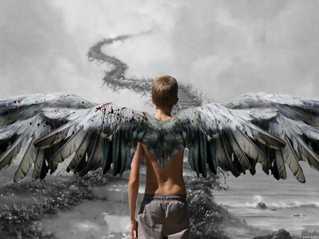 Человек с крыльями. Человек с крыльями ангела. Ангел с крыльями. Ангел мужчина. Песня птицы разобьются