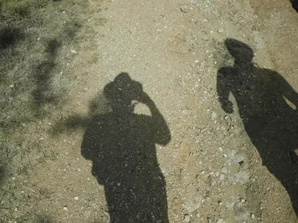 Тень shadow