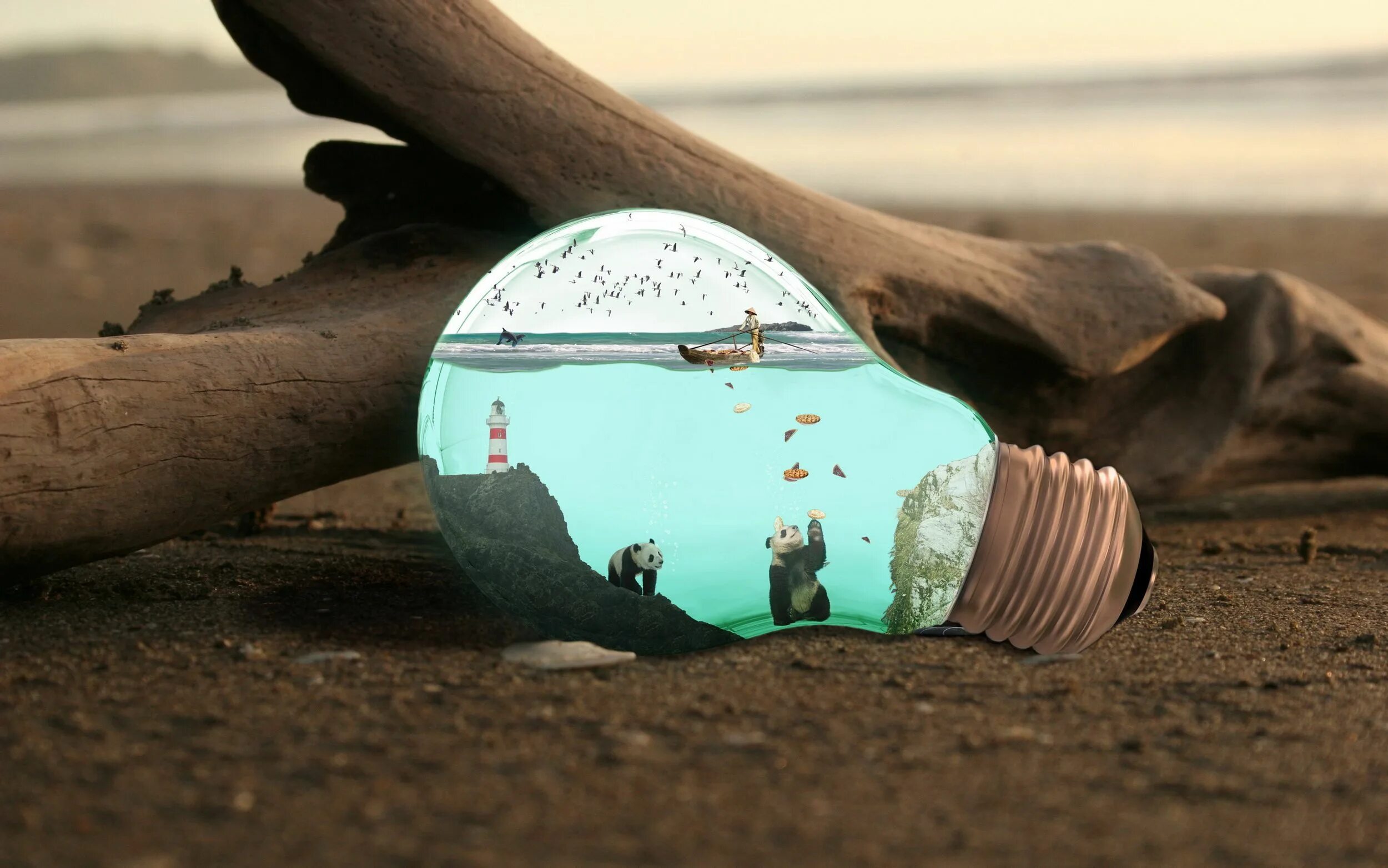 солнце и вода. необычные морские камни. яблоки фон. океан австралия сидней. хорошего качества и с оригинальным.