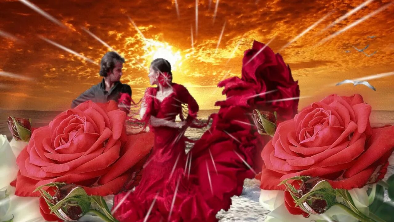 Песня я подарю тебе розы пионы. Я дарю тебе розы. Розу февраля дарю тебе. Розы для Кати.