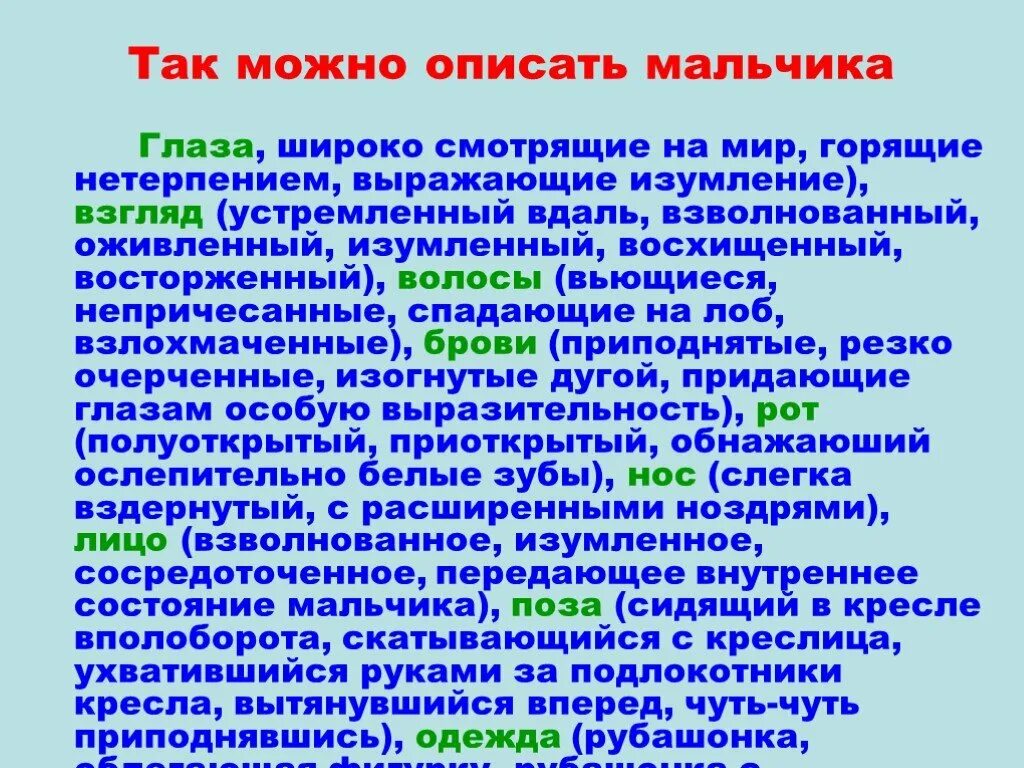 Описание внешности человека 7 класс. План описание внешности 7 класс. Описание внешности человека сочинение 7 класс по русскому. План описания человека 7 класс русский язык. Сочинение описание внешности человека 7 класс.