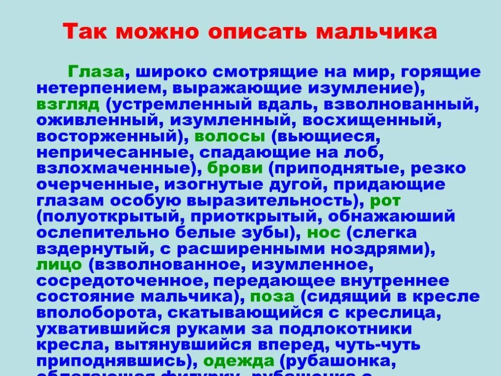 Описать человека пример. Описание внешности план 7 класс. План описания человека 7 класс русский язык. Описание внешности человека. Сочинение описание человека.