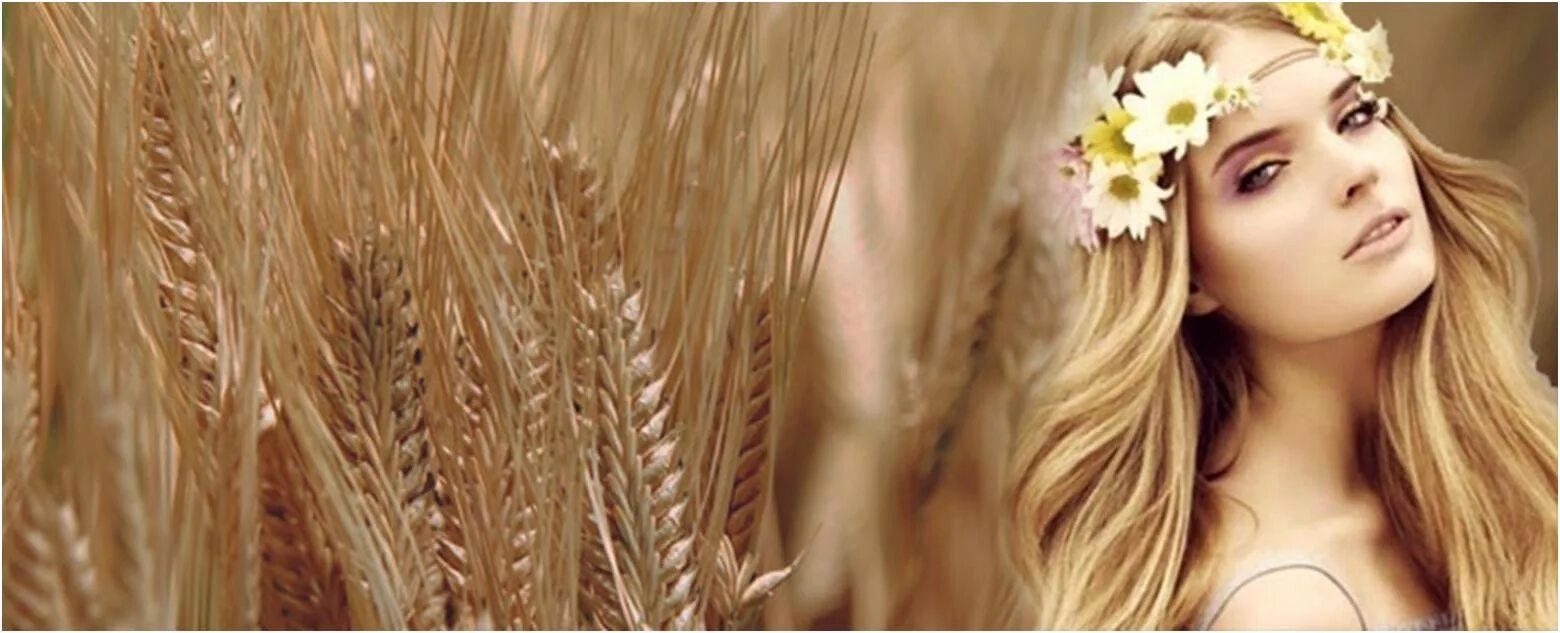 Пшеничные глаза. Пшеничный цвет волос. Девушка с пшеничными волосами. Девушка с волосами цвета пшеницы. Красивая девушка с пшеничными волосами.