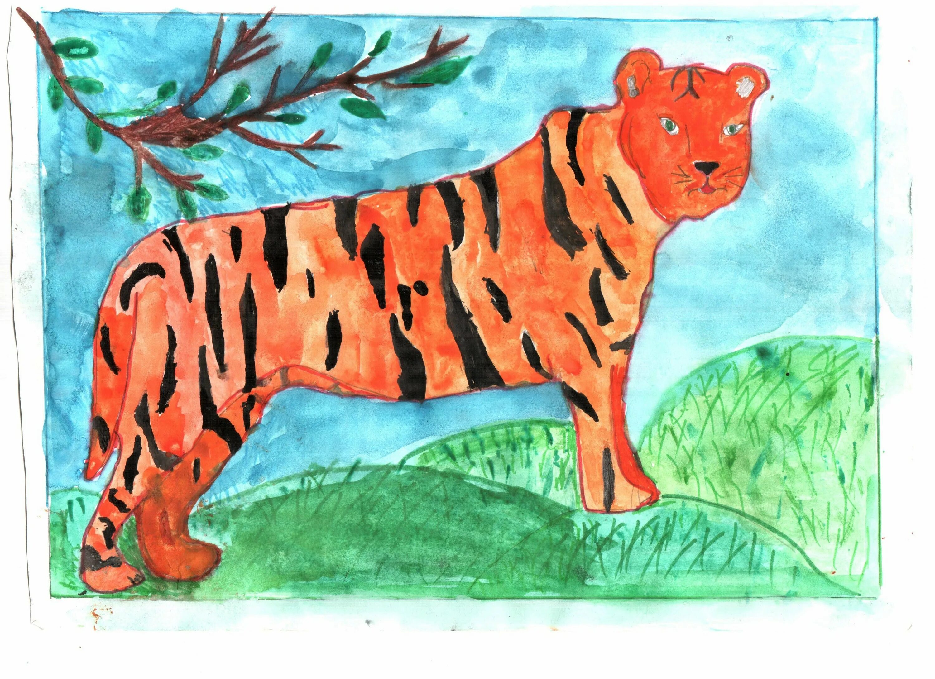 Рисунки животных. Животные для рисования. Рисунок на тему животные. Конкурс рисунков животные красной книги. Конкурс рисунков животных