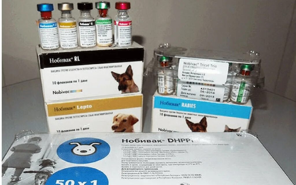 Нобивак где сделать. Нобивак для собак. Вакцинация кошек Нобивак. Нобивак LR для щенков. Германская вакцина для собак.