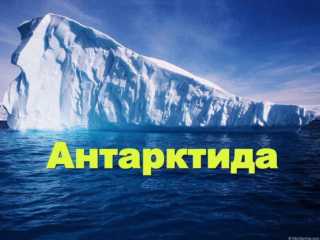 Антарктида это континент. Антарктида. Антарктида надпись. Антарктида (материк). Антарктида Континент.