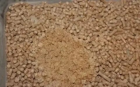 Использованный кошачий наполнитель