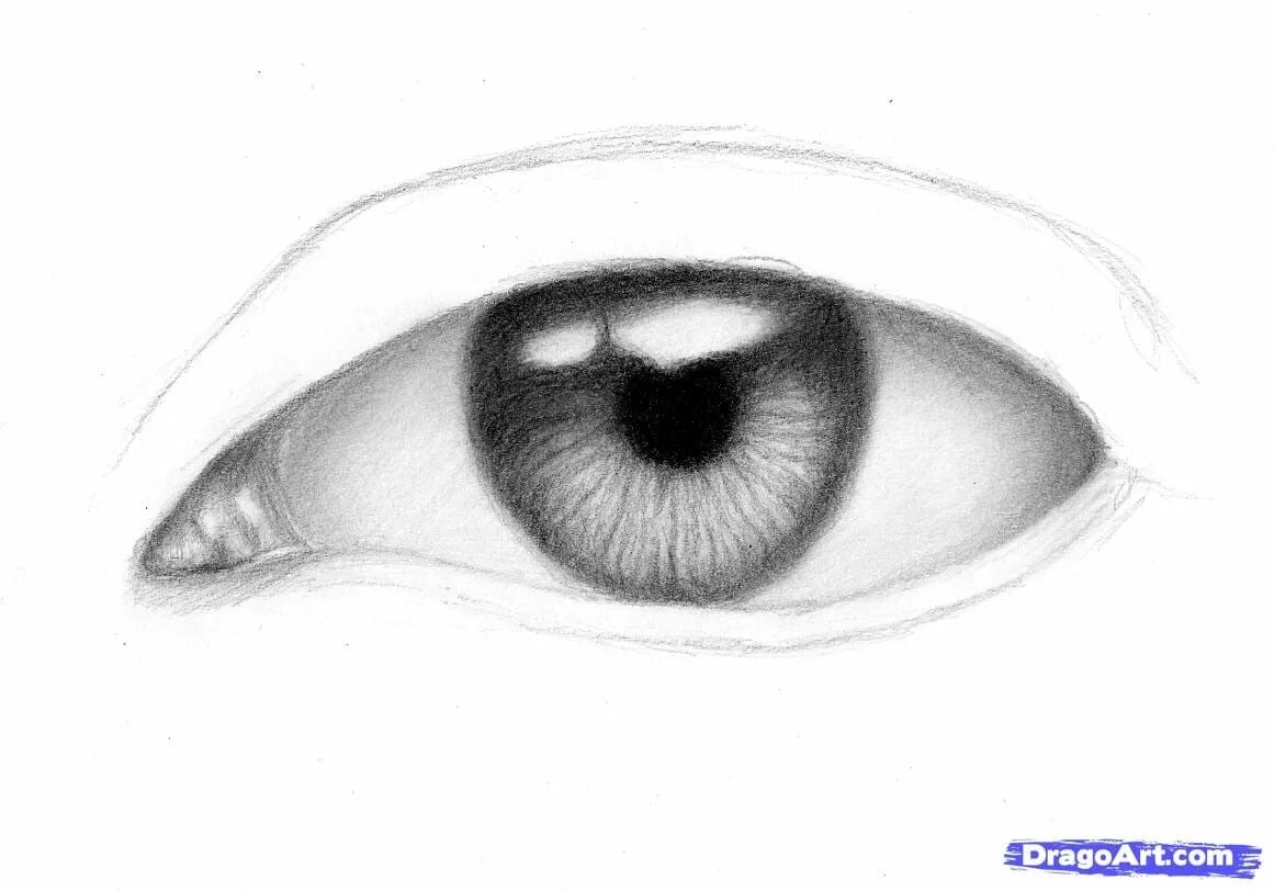 Глазки карандашом. Глаза рисунок. Глаза нарисованные. Рисование глаза карандашом. Рисунки глаз карандашом для начинающих.