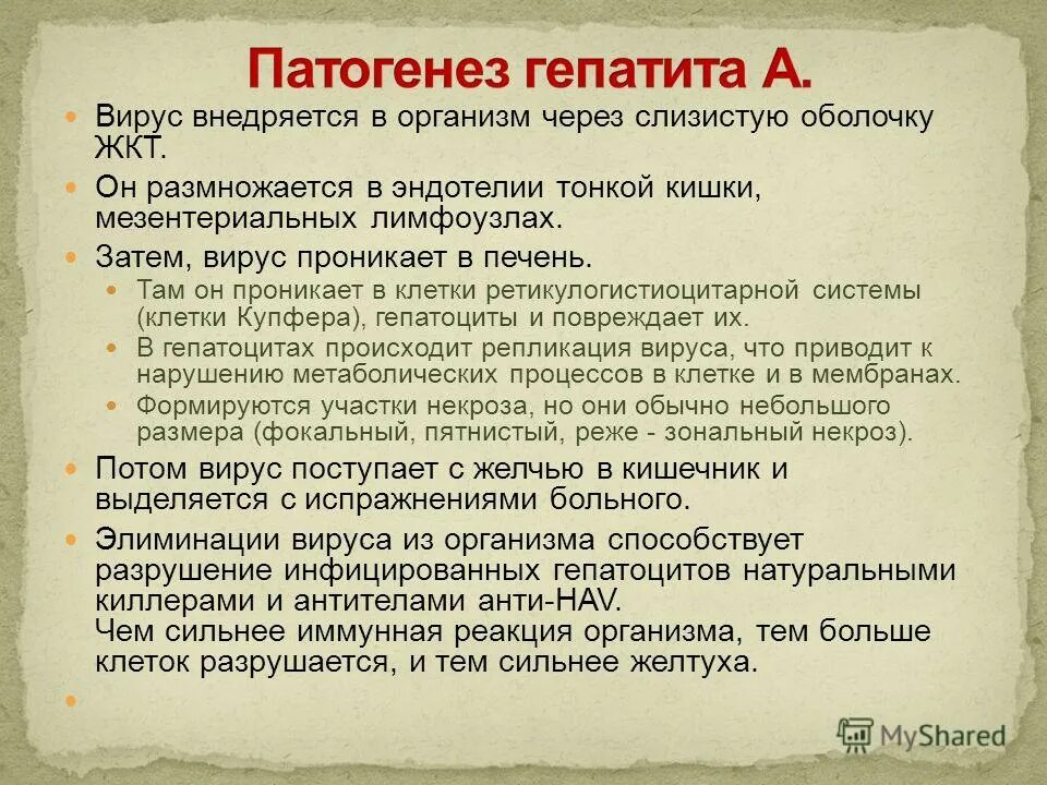 патогенез гепатита д