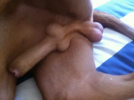 Guy rubs cock with dog dick