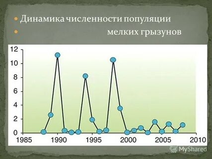 Исследование популяции