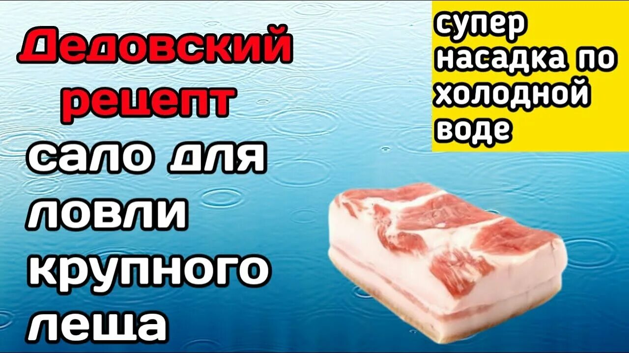 Ловля на сало. Насадка сало. Рыбалка на сало. Ловля рыбы на сало. Лещ на сало.