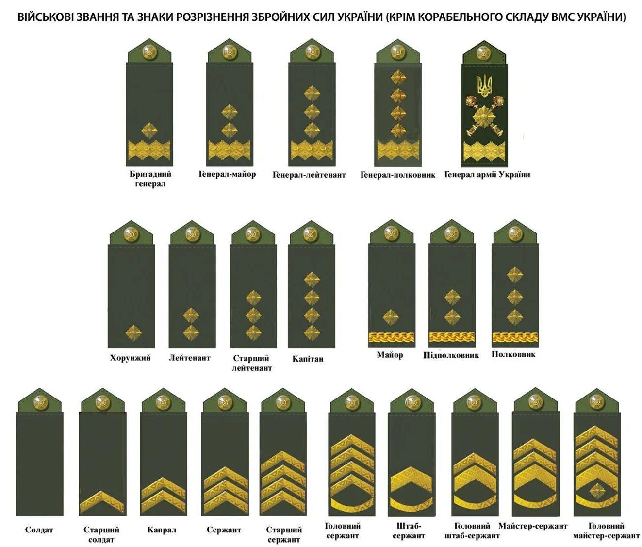 Погоны украины. Погоны ВСУ Украины нового образца. Знаки различия армии Украины. Погоны армии Украины нового образца. Звания украинской армии 2020.