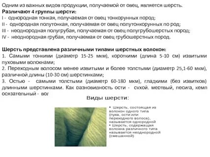 Основными районами производства шерсти являются