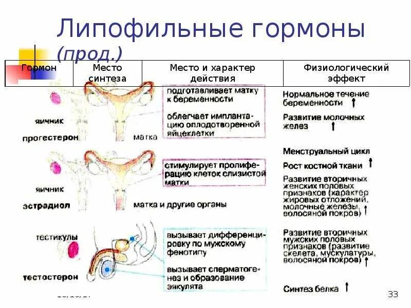 Строение рецепторов липофильных гормонов. Липофильные гормоны биохимия. Липофильные гормоны примеры. Механизм действия липофильных и гидрофильных гормонов.