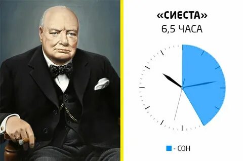 Сколько спали ученые