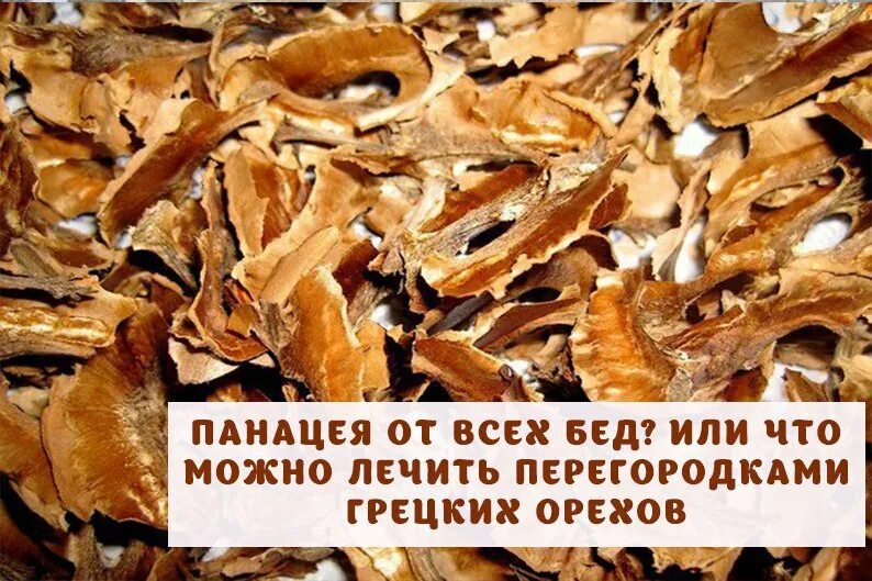 Экстракт перегородок грецкого ореха. Перегородки от грецкого ореха. Что лечат перегородки грецких. Перегородки ореха настойка. Перегородки грецкого ореха.