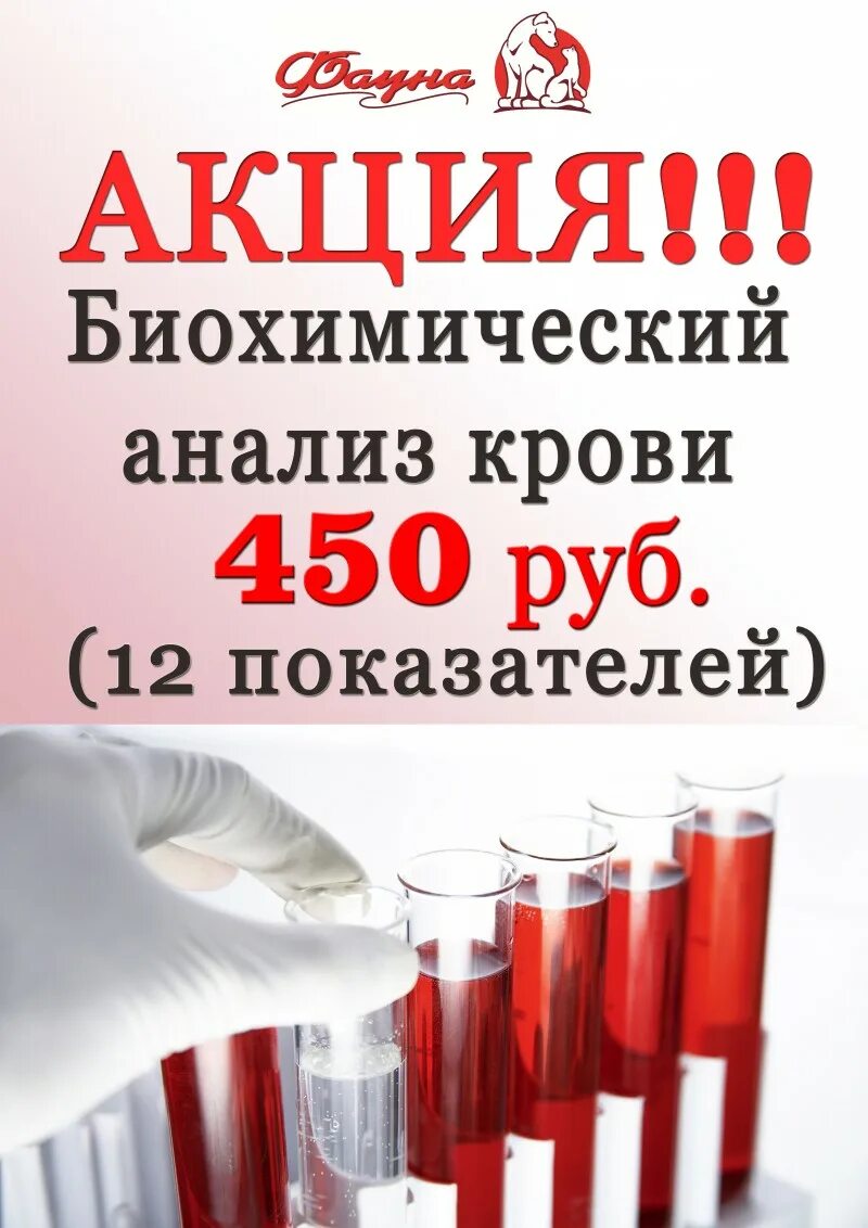 Неовет ветеринарная лаборатория. Биохимия тула. Степанова елена томск биохимия фото. Забор крови на биохимическое исследование. Биохимия тула.