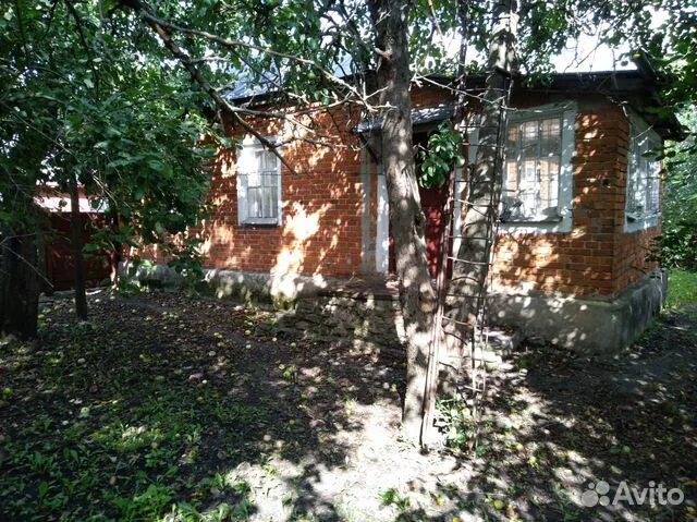 лебяженская школа липецкой области измалковский район. алёна козлова панкратовка липецкая. погода панкратовка липецкая область. разрушенные храмы псковской области. афанасьево измалковского района липецкой.