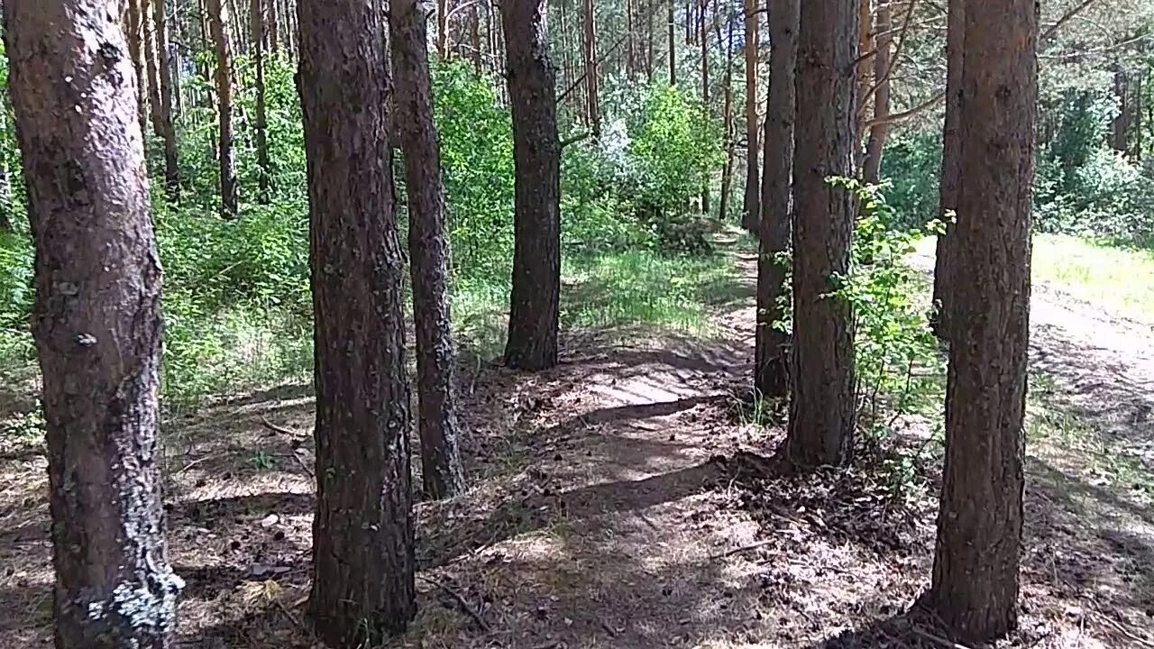 Бугры ирбит. Река боровая ирбитский район. Бугры ирбит. Город ирбит бугры парк. Снежок ирбит.