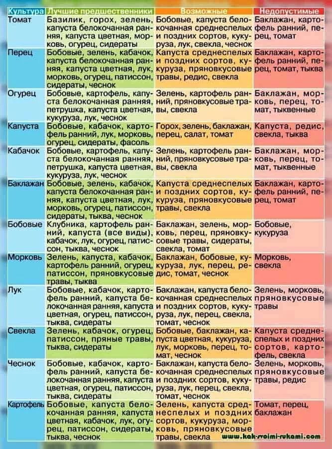 Таблица предшественников посадки огородных растений. Лучшие предшественники для посадки овощей таблица. Чередование посадок овощных культур таблица. Таблица севооборота овощных культур на огороде что после чего.