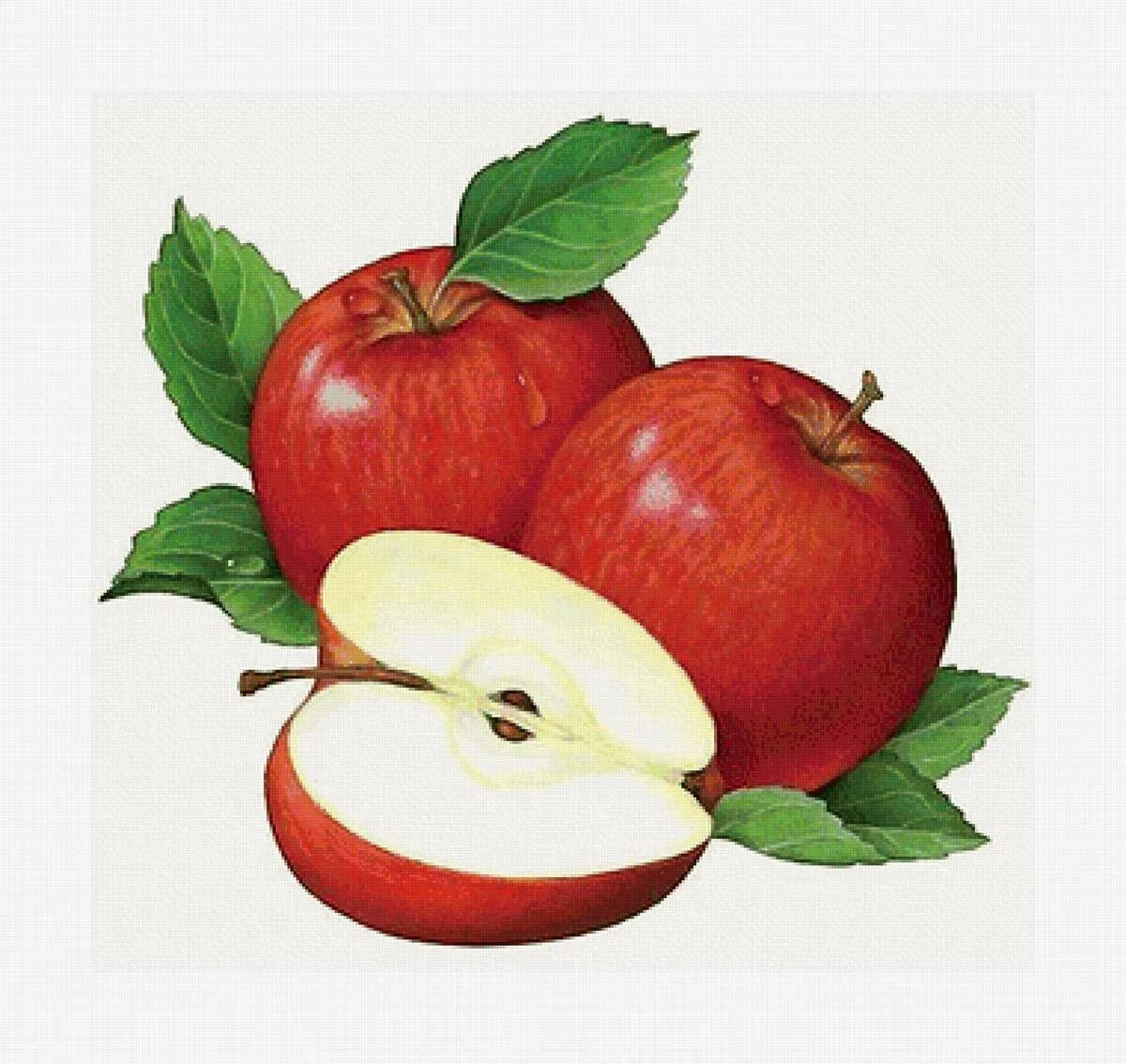 Яблоко нарисованное. Яблоко иллюстрация. Картинки яблоко для детей цветные. Нарисовать яблоко. Яблоко рисунок для детей.