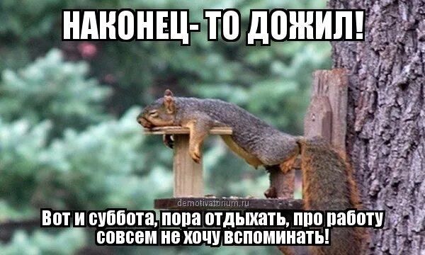 Ну и денек теперь ване предстоит