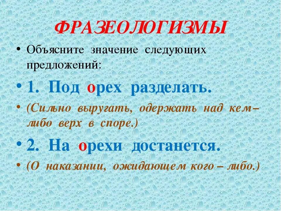 Разделать под орех значение фразеологизма. Разделать под орех фразеологизм. Разделать под орех. Фразеологизм к слову орех.