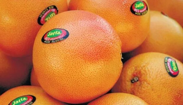 Апельсины страны производители. Апельсины Jaffa. Грейпфрут мандарин Jaffa. Сорт грейпфрут Jaffa.