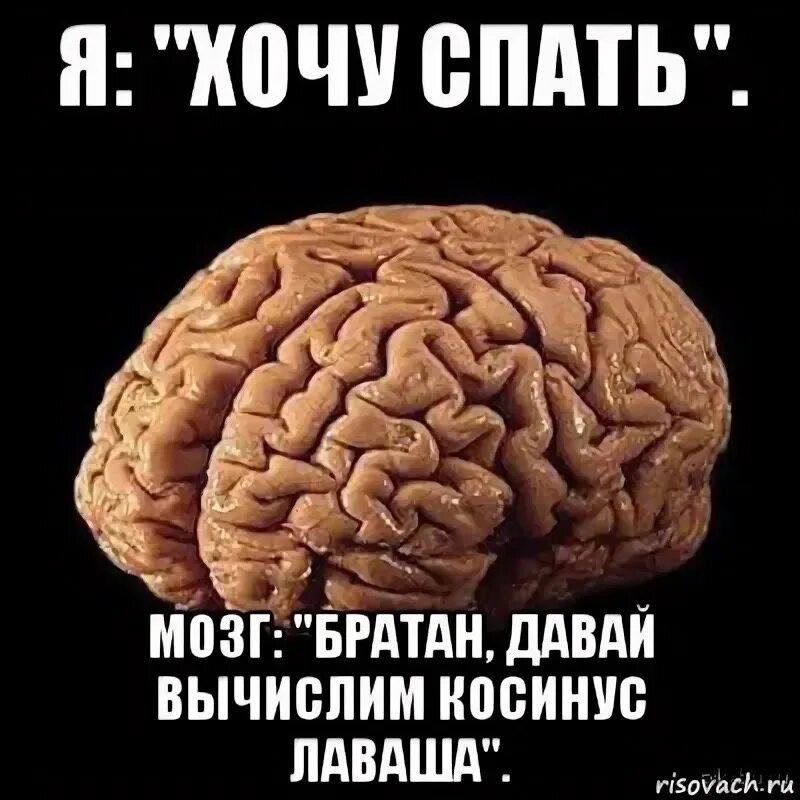 Песня они хотят мои мозги. Мозг Мем. Мемы про мозг. Мемы с мозгами.