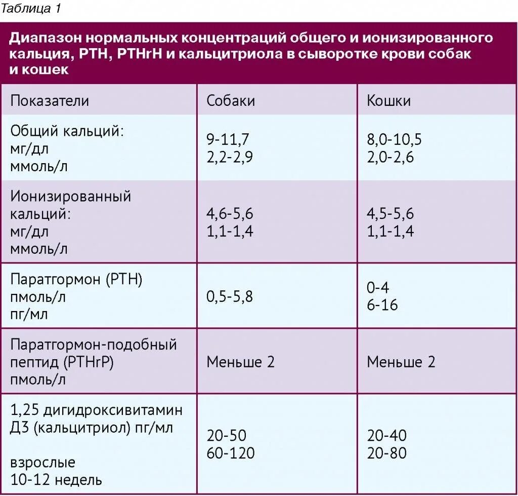 Ионизирующий кальций и общий